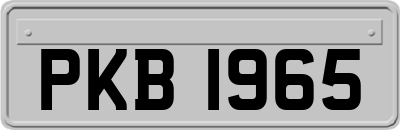 PKB1965