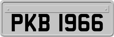 PKB1966