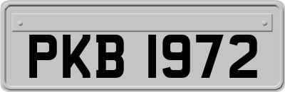 PKB1972