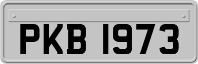 PKB1973