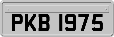 PKB1975