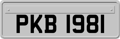 PKB1981
