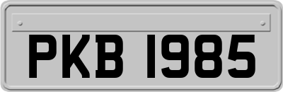 PKB1985