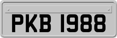 PKB1988
