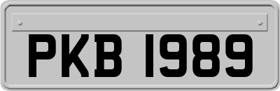 PKB1989