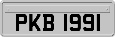PKB1991