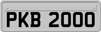 PKB2000