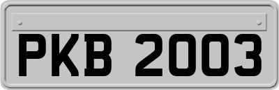 PKB2003
