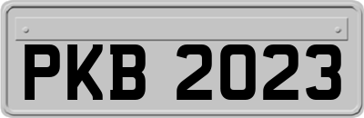 PKB2023