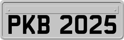 PKB2025