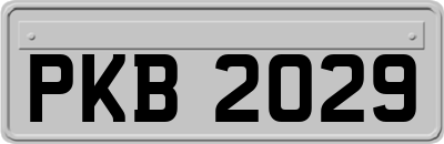 PKB2029