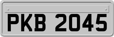 PKB2045