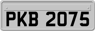 PKB2075