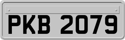 PKB2079