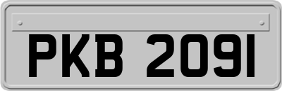 PKB2091