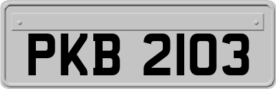 PKB2103