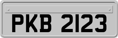 PKB2123
