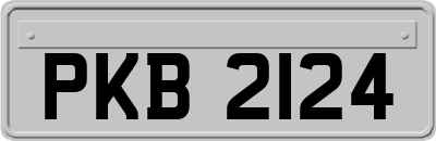 PKB2124