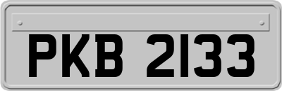 PKB2133