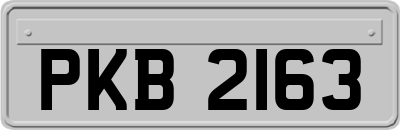 PKB2163