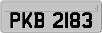 PKB2183