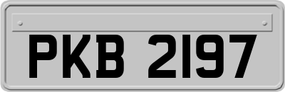 PKB2197