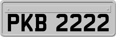 PKB2222