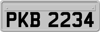 PKB2234