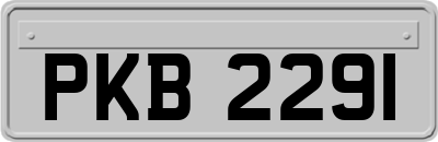PKB2291