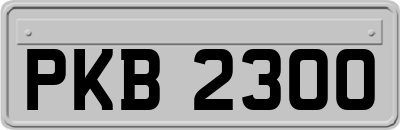 PKB2300