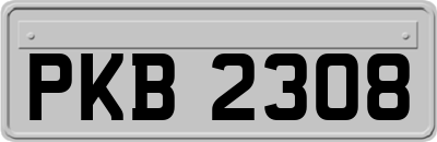 PKB2308