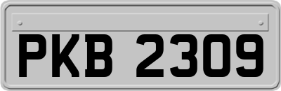 PKB2309