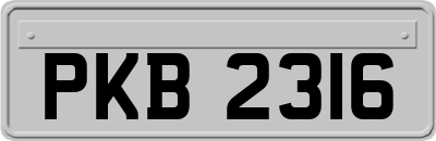 PKB2316