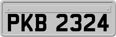 PKB2324