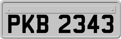 PKB2343