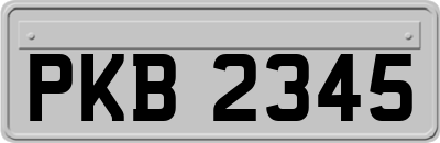 PKB2345