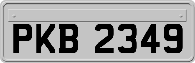 PKB2349