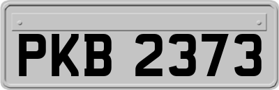 PKB2373