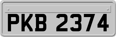 PKB2374