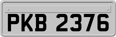 PKB2376