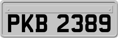 PKB2389