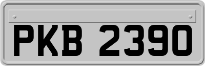PKB2390
