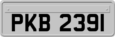 PKB2391