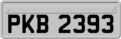 PKB2393