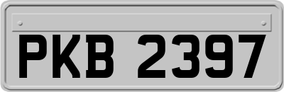 PKB2397