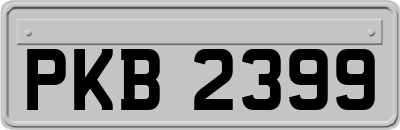 PKB2399