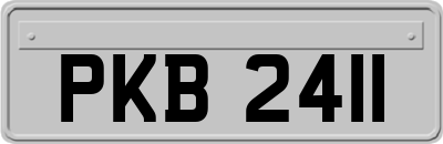 PKB2411
