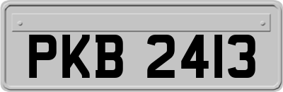PKB2413