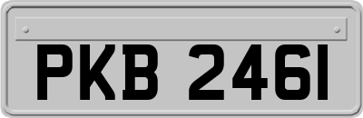 PKB2461