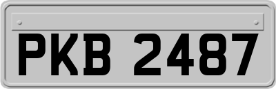 PKB2487